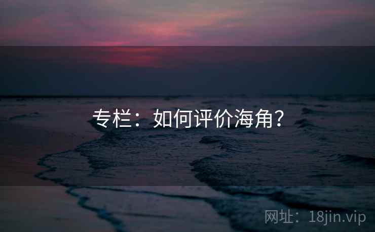 专栏：如何评价海角？