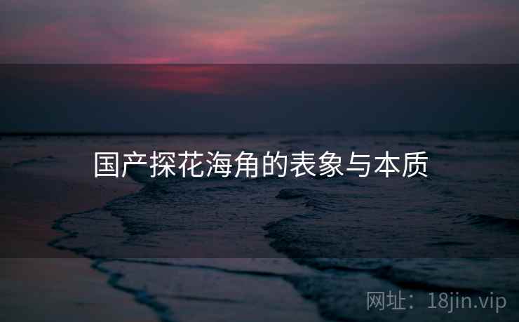 国产探花海角的表象与本质