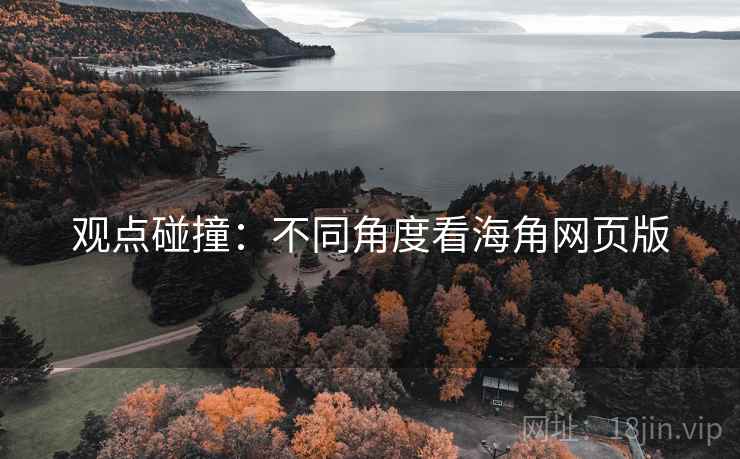 观点碰撞：不同角度看海角网页版