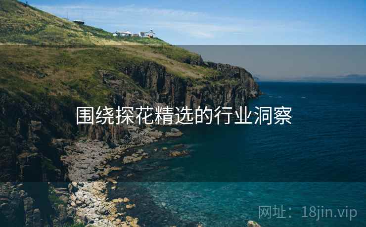 围绕探花精选的行业洞察 围绕探花精选的行业洞察