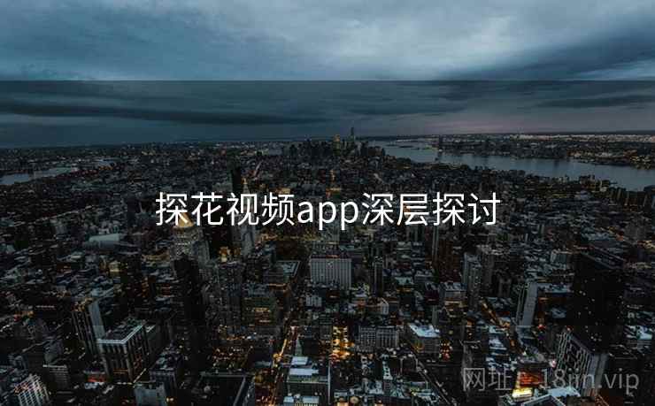探花视频app深层探讨
