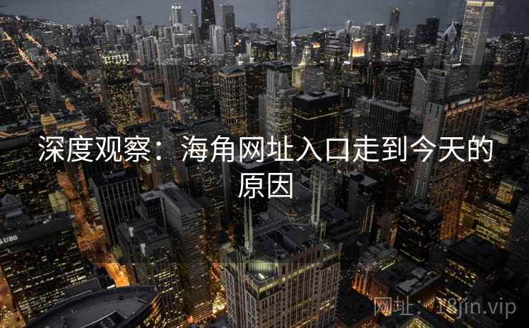 深度观察：海角网址入口走到今天的原因