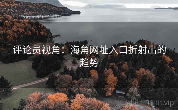 评论员视角：海角网址入口折射出的趋势