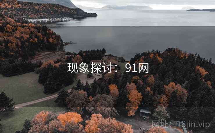现象探讨:91网 现象探讨:91网