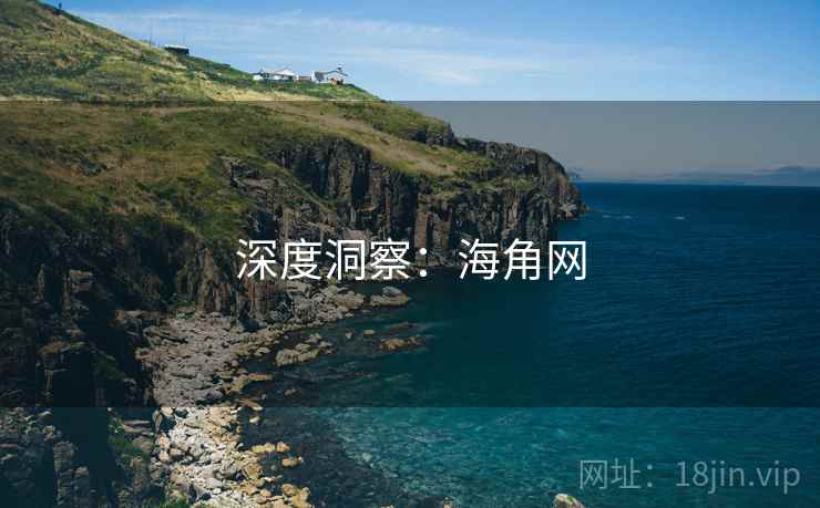 深度洞察:海角网 深度洞察:海角网